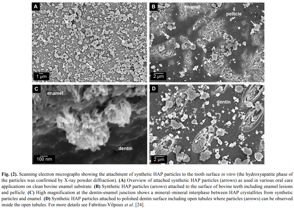 nano hydroxyapatite reddit